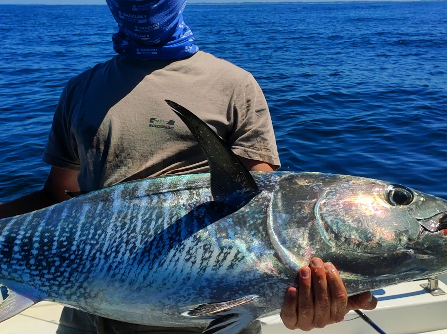Tracker guide de pêche en mer au pays basque