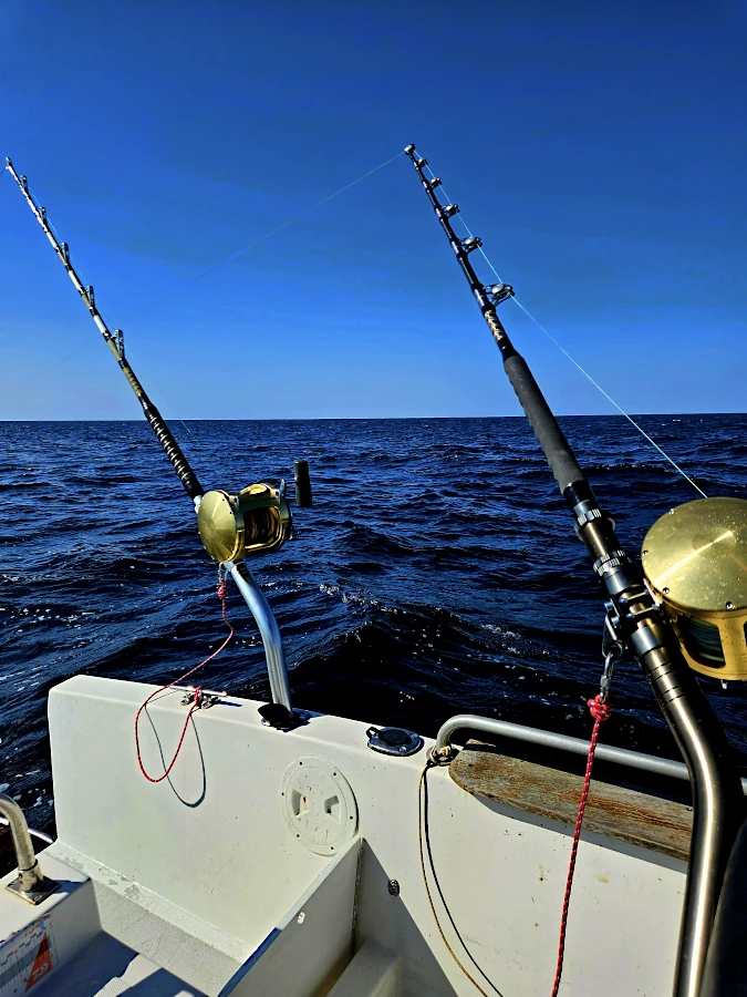 Cannes armées pour la pêche au thon au broumé lors d’une sortie de pêche au thon au Pays Basque