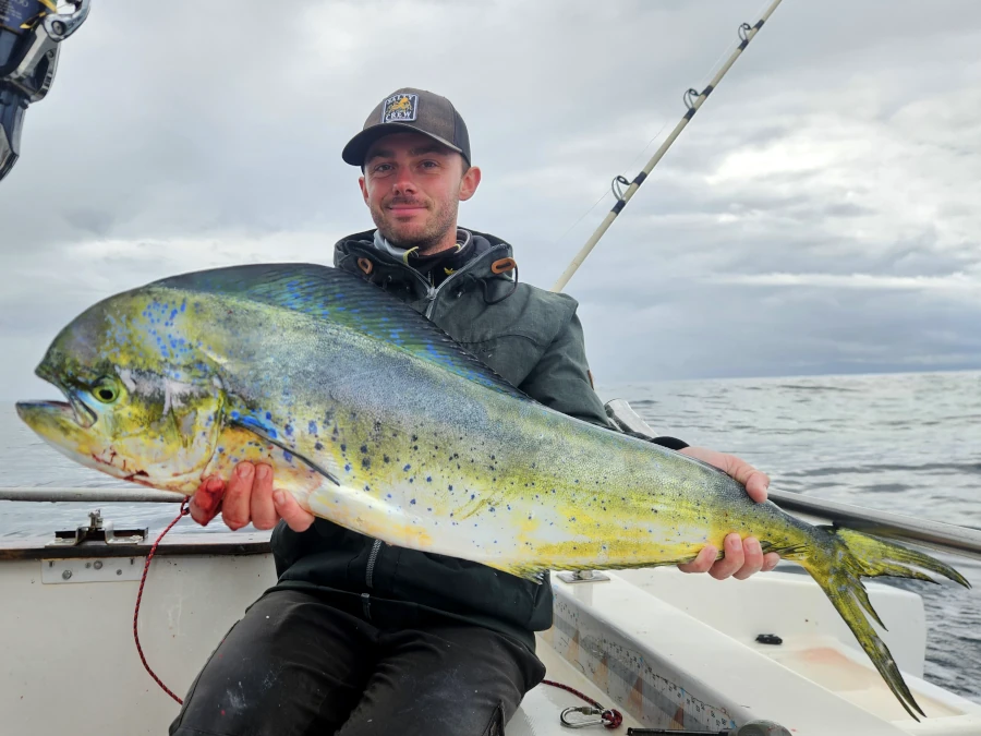 Pêcheur posant avec une grosse dorade coryphène capturée à la traîne lors d’une sortie de pêche au large au Pays Basque