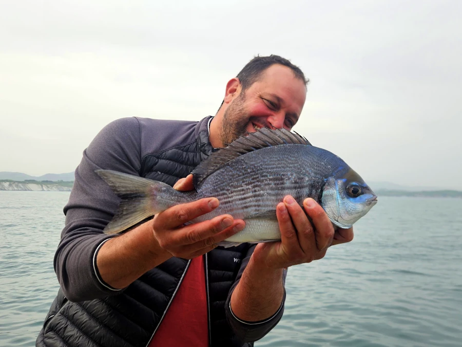 Pêcheur montrant une belle dorade grise capturée lors d’une sortie de pêche multi espèces au Pays Basque