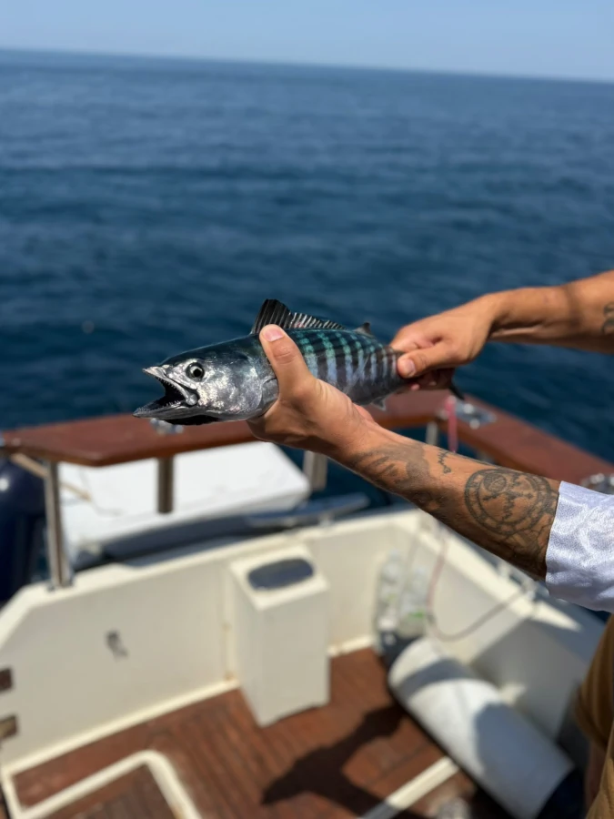 bonite pêcher devant anglet au pays basque